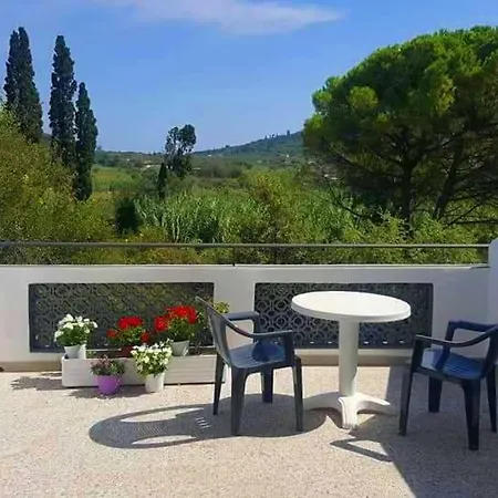 Nirvana Zante *