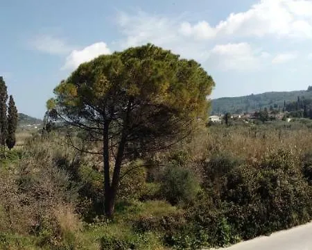 Nirvana Zante Alykanas (Zakynthos)